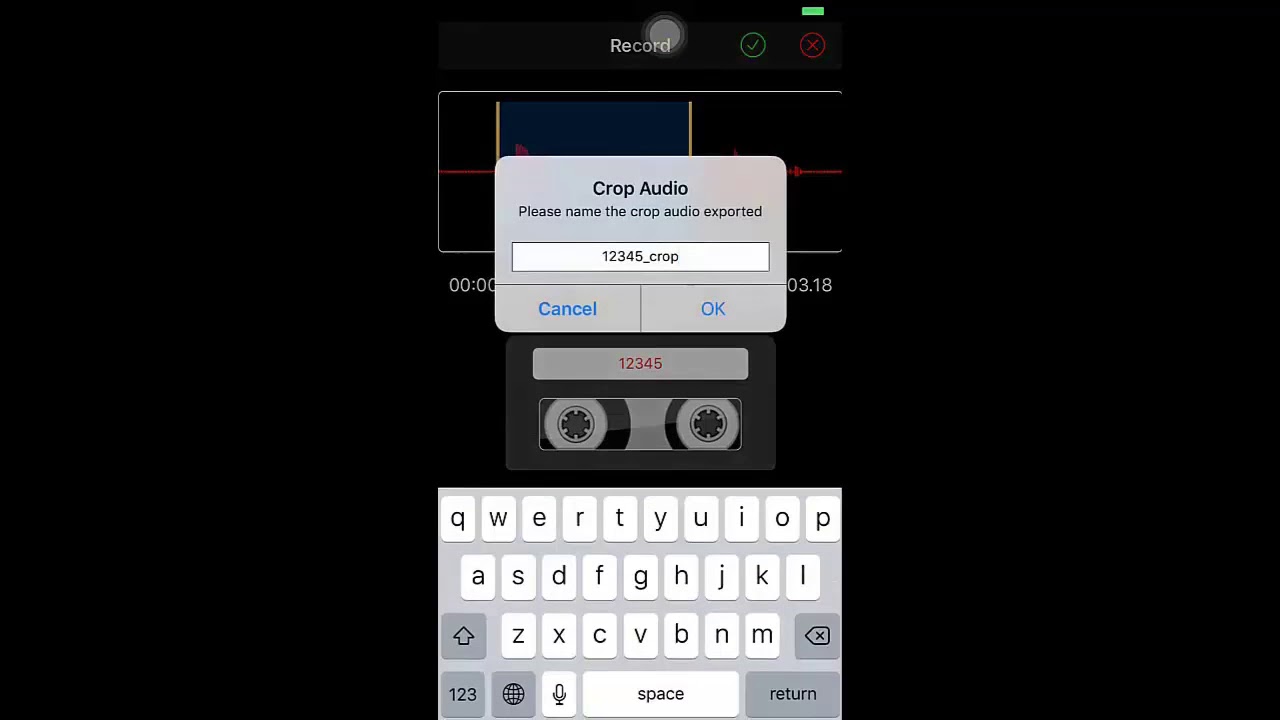 Voice Recorder & Audio Editor YouTube