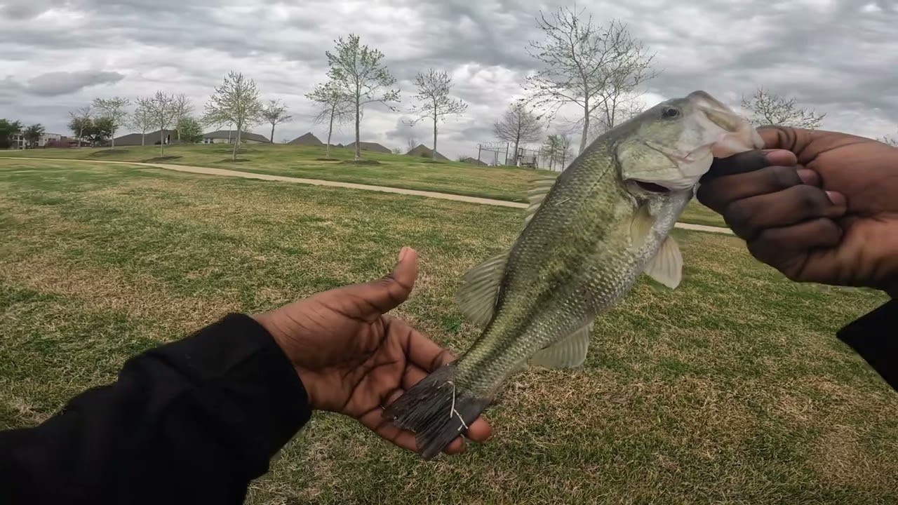 bass fishing adventures (funny)