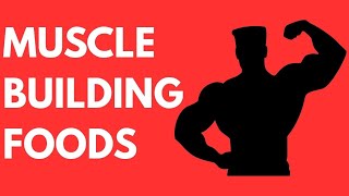 13 Muscle Building Foods | BULK UP FAST