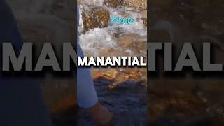 El agua más pura: La magia del agua manantial natural