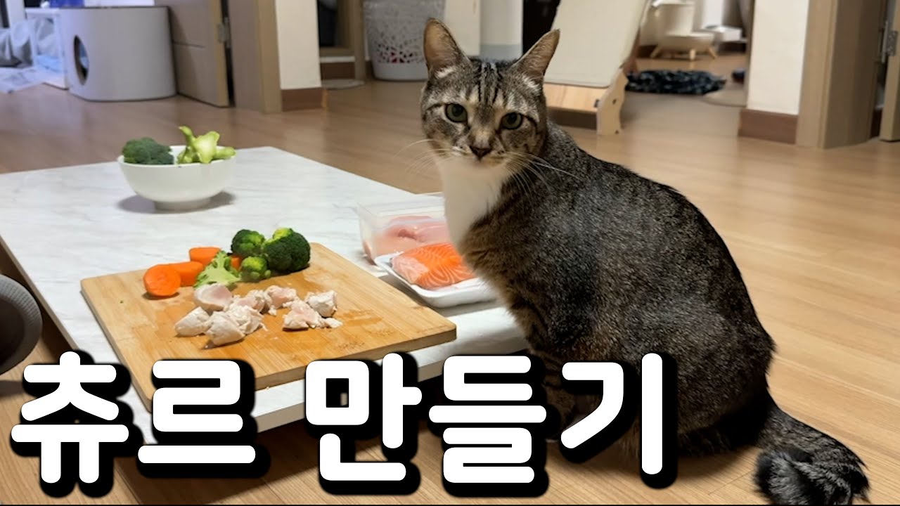 고양이가 환장하는 수제 츄르 만들기