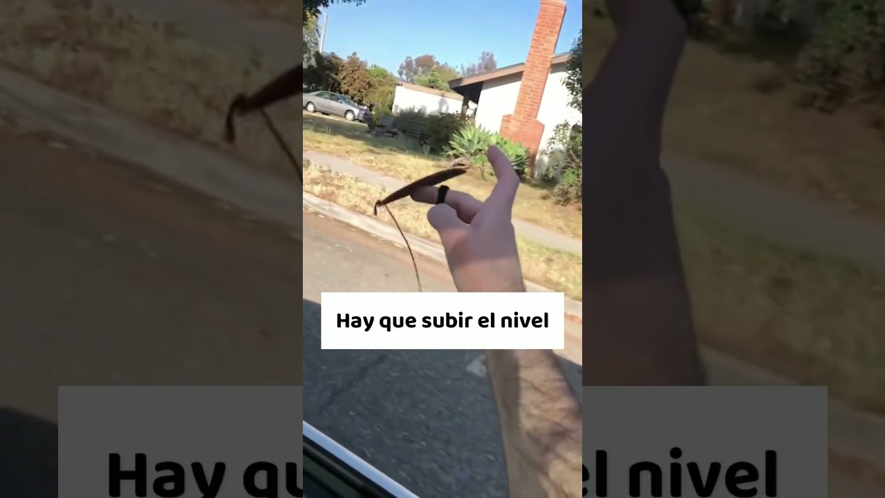 mini tabla de surfing🤑🏄‍♂️ 