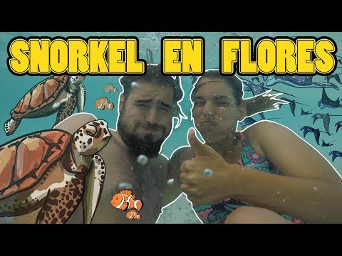 FLORES, las ISLAS con las que nos ENAMORAMOS de INDONESIA🦎 hqdefault