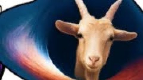 Levelling up to level 82 in Brainrot evolution