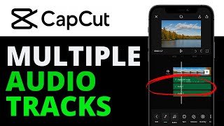 How To Add Multiple Audio Tracks In Capcut Mobile (BEST WAY) 2025