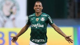 TODOS OS 25 GOLS DE BRENO LOPES PELO PALMEIRAS