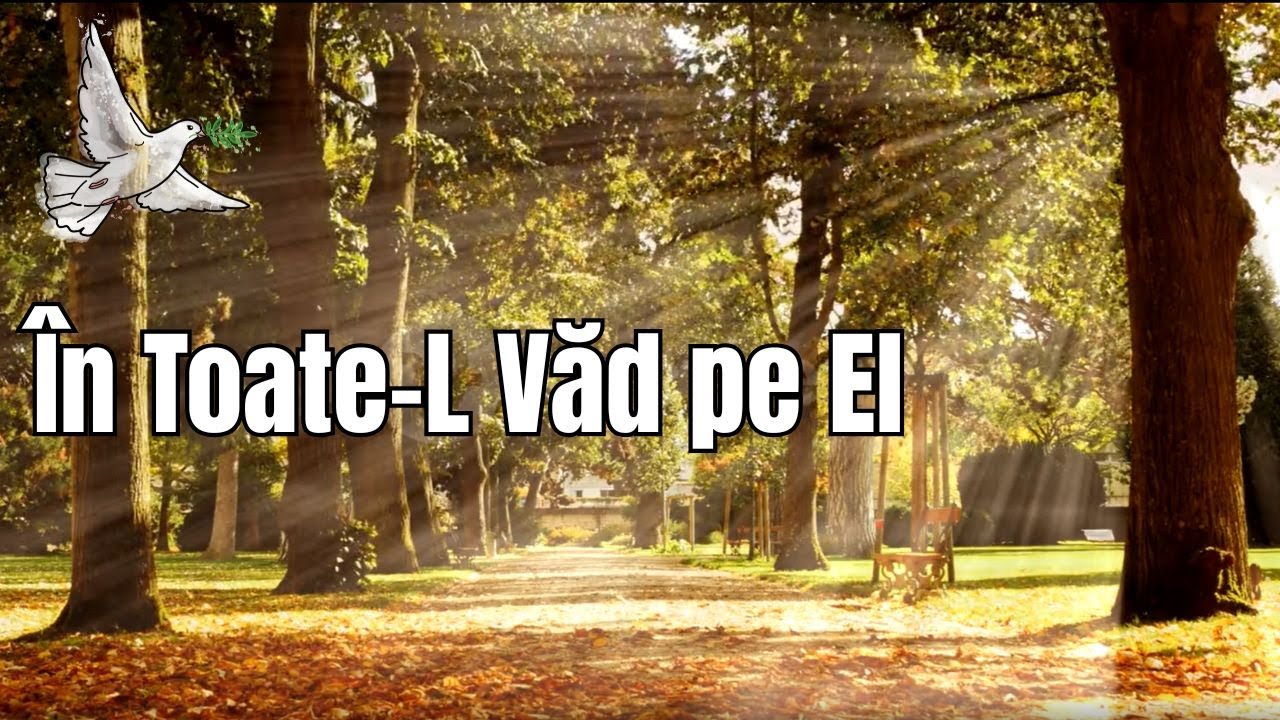 🌿✨ În Toate-L Văd pe El Dumnezeu în Creație,Muzică Creştină&Cântări  🙏🌍