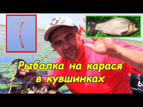 Video: Кышында балык уулоо үчүн өтүктөрдү кантип тандай аласыз