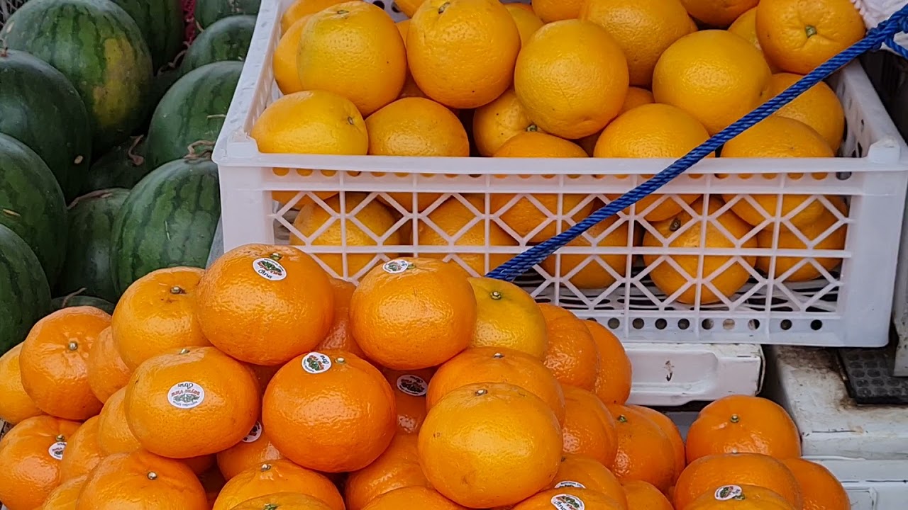 Warna Jeruk ini  Unik ya