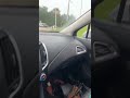 Myla in the car