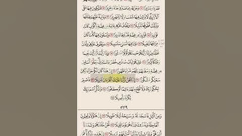سورة الانسان من آيه ١٦ الى ٣١ مكرره ١٠ مرات بصوت الشيخ علي الحذيفي