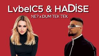 Lvbelc5 & Hadise - Ne? & Dum Tek Tek (Fati̇h Musi̇c)