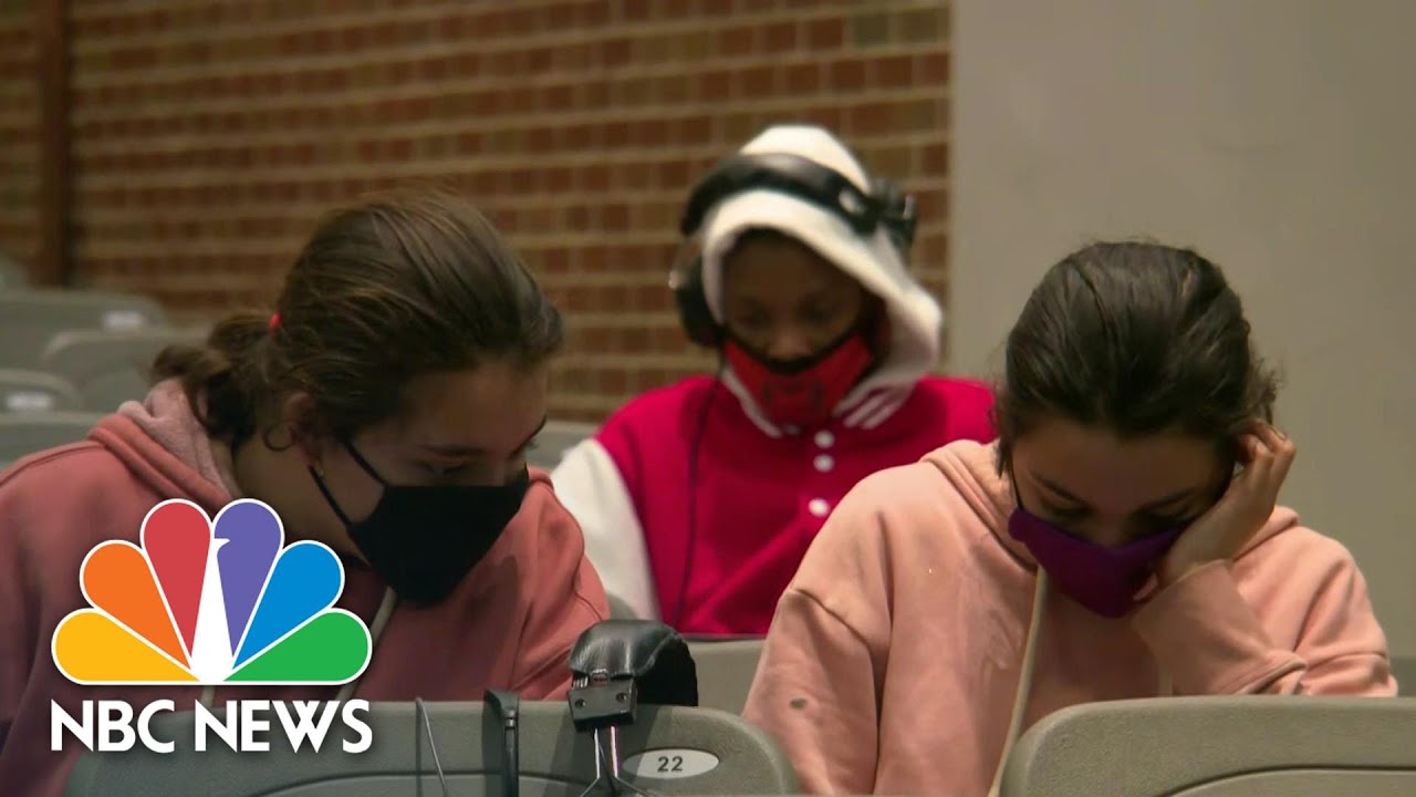 Some Parents Fear Children Falling Behind With Remote Learning | NBC News NOW