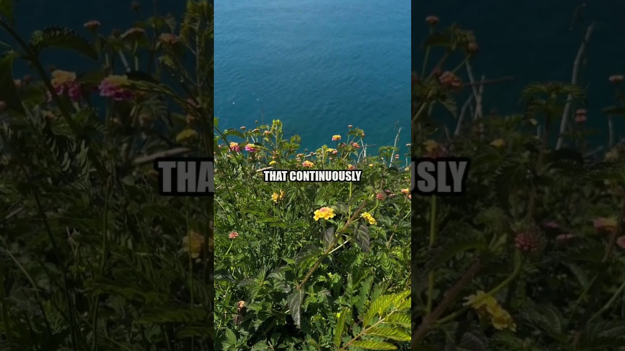 Eckhart Tolle for When You're Overthinking 