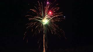 49 Shot Ti-Gold Coconut Tail Nishiki & One Big Color Dahlia by RIAkeo Fireworks