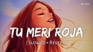 Tu Meri Roja (Slowed + Reverb) | Javed Ali | Kushi | SR Lofi