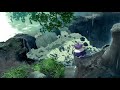 Lofi on the river🌀chill music .