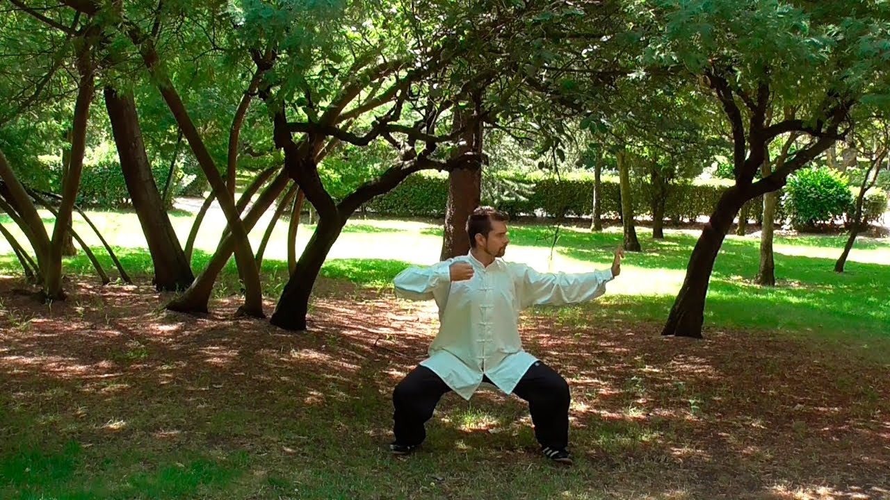 Chi Kung de los 8 Brocados, BADUANJIN QI GONG