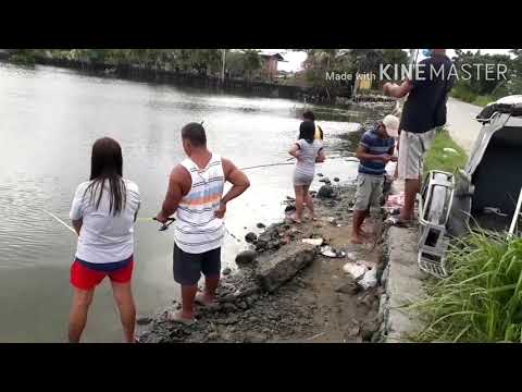 Video: Kung Saan Makahanap Ng Mga Bulate Para Sa Pangingisda