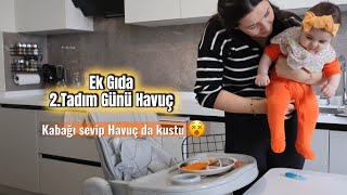 2. Tadım Günü Havuç Kötü Sonuçlandı