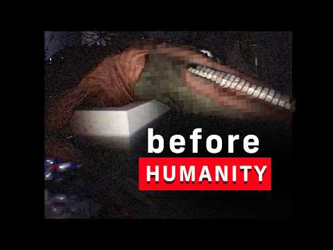 𝚃𝚑𝚎 𝙿𝚛𝚎𝚑𝚒𝚜𝚝𝚘𝚛𝚒𝚌 𝙱𝚊𝚌𝚔𝚛𝚘𝚘𝚖𝚜.
