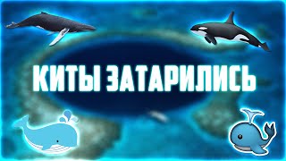 ТВОЯ ПОСЛЕДНЯЯ ВОЗМОЖНОСТЬ ПЕРЕД ПАРАБОЛОЙ! АЛЬТКОИНЫ К ПОКУПКЕ НА ТЕКУЩЕМ ОТКАТЕ! ПРОГНОЗ BTC 2024