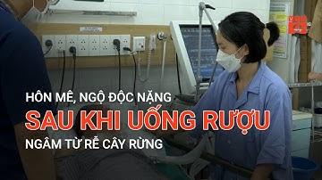HÔN MÊ, NGỘ ĐỘC NẶNG SAU KHI UỐNG RƯỢU NGÂM TỪ RỄ CÂY RỪNG | VTC9