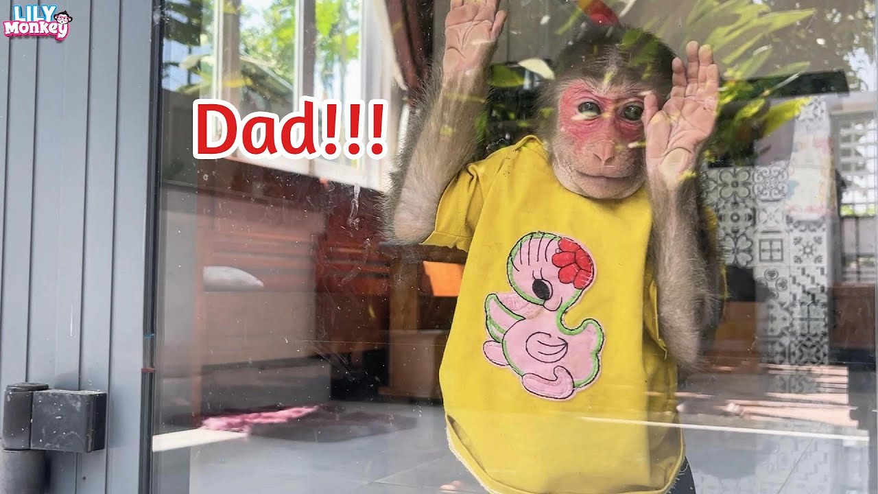 Lily stayed home alone while Dad was at work! What happened next? | Lily's story