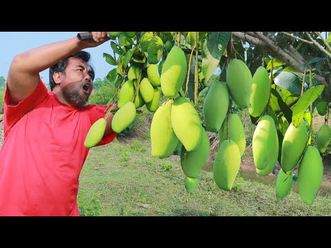 Man with dog found mango for eat with fish grilled at hut- Eating delicious