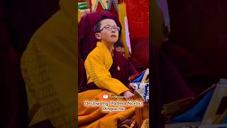 Drubwang Padma Norbu Rinpoche #phatphap #shots #mattong #rinpoche #youtubeshorts