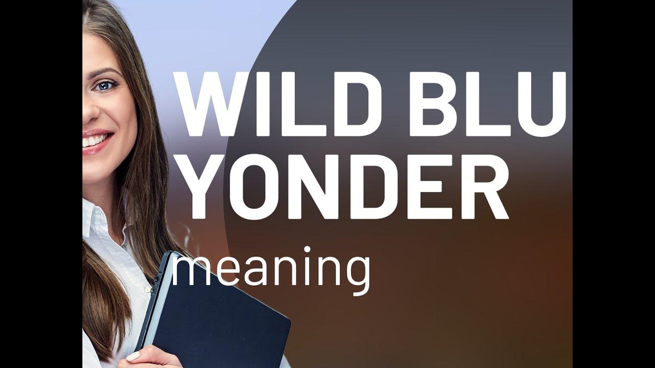 Wild blue yonder • WILD BLUE YONDER definition YouTube