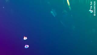 DJ aisyah jatuh cinta pada Jamilah KOMPOR GAS HOT, Tik Tok KEREN ! Lucu Gan