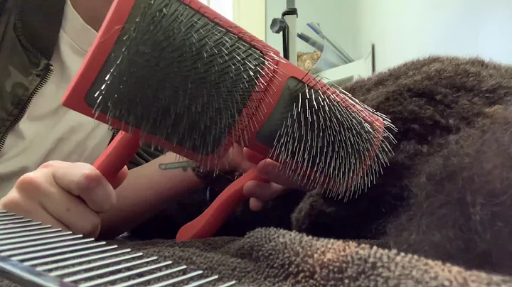 IS THE CHRIS CHRISTENSEN BRUSH WORTH THE MONEY?