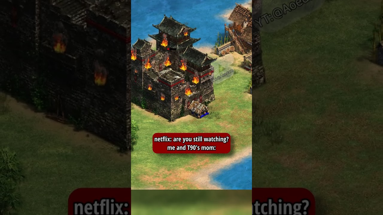 I demolished T90's mom - [AoE2/Age of Empires 2]