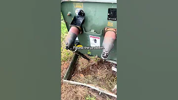 Bit The Wrong Prey 