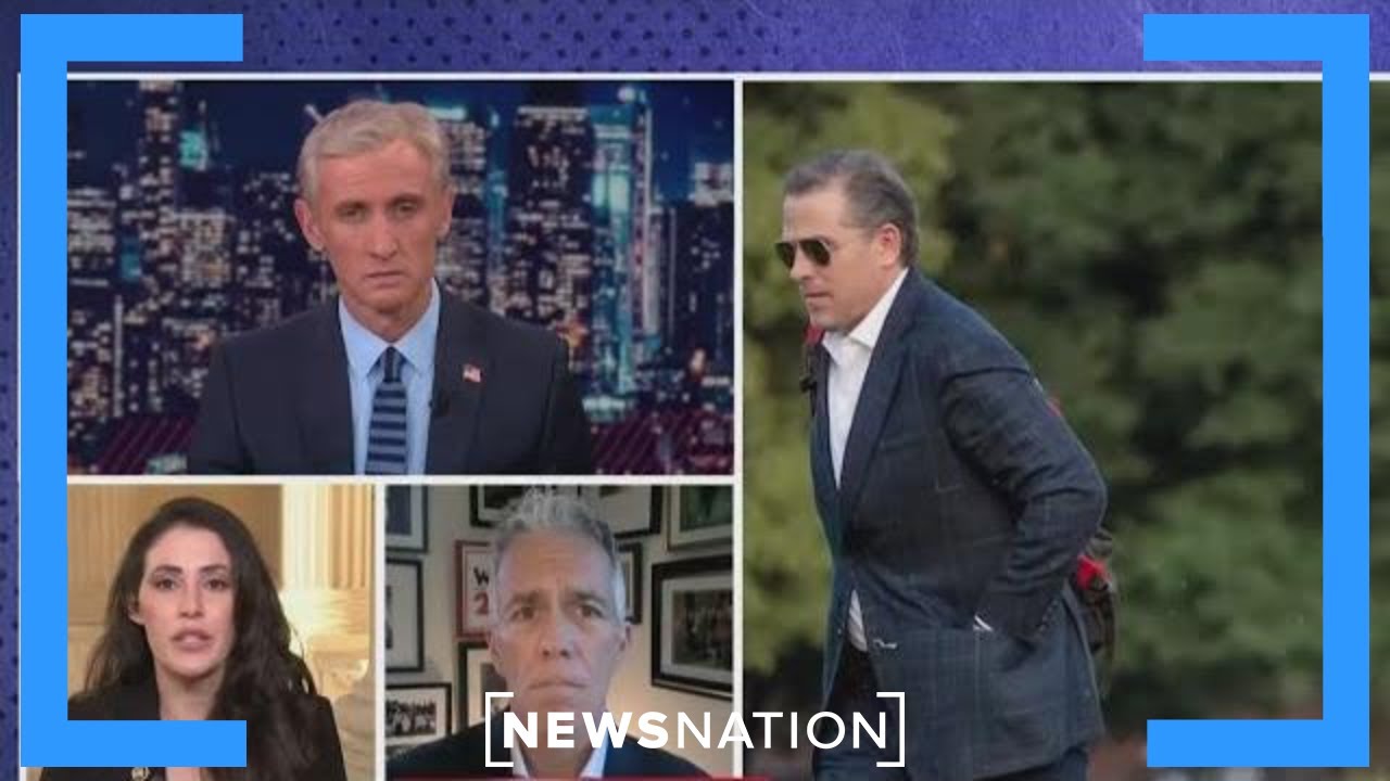 'There is a double standard in the justice system': Rep. Anna Paulina Luna | Dan Abrams Live