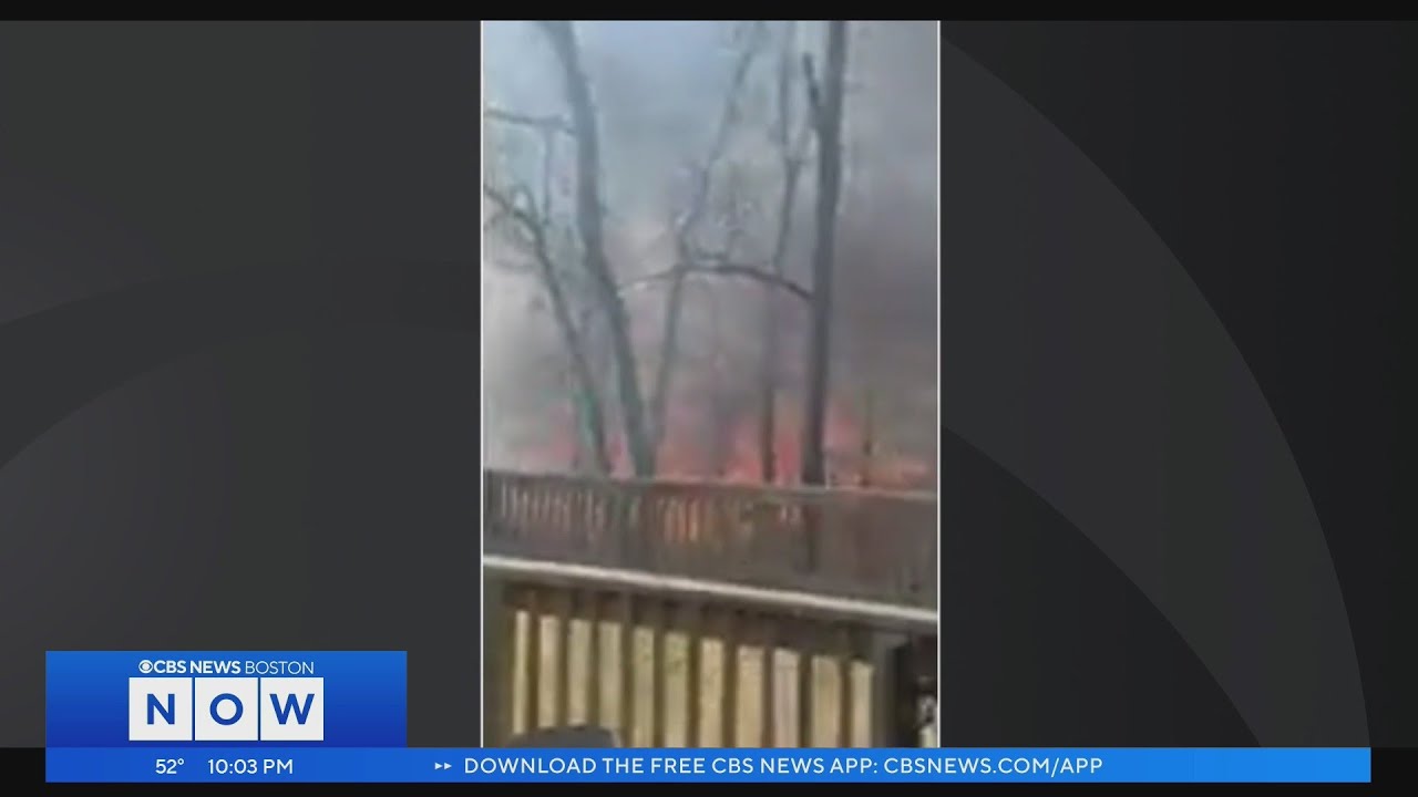 Tree falling on power lines sparks brush fire near Natick Mall