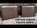 Gibson Falcon Amps 1962 &amp; 1964 With Young Tom &amp; Guthrie Trapp