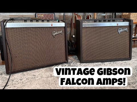 Gibson Falcon Amps 1962 & 1964 With Young Tom & Guthrie Trapp