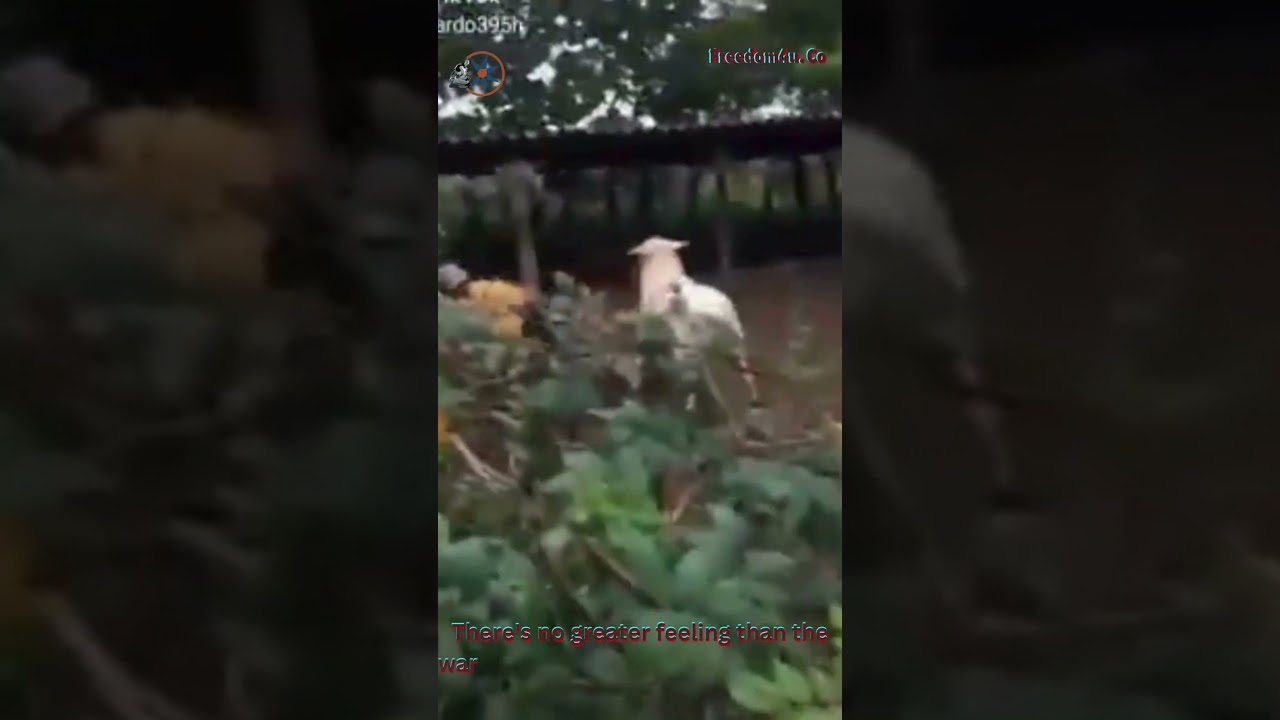 There's no greater feeling than the warmth of laughter filling your heart.