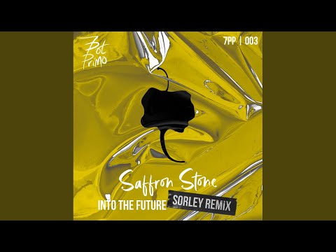 Into The Future (Sorley Remix)
