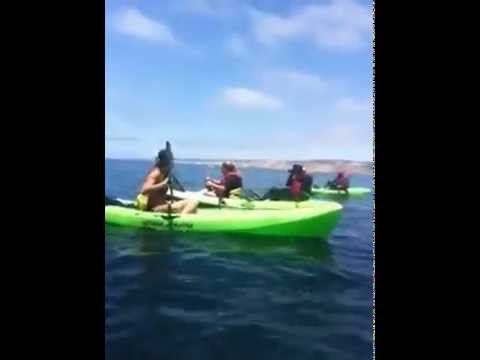 Kayaking La Jolla