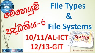 Operating System - 6  - මෙහෙයුම් පද්ධතිය -  File Types & File Systems