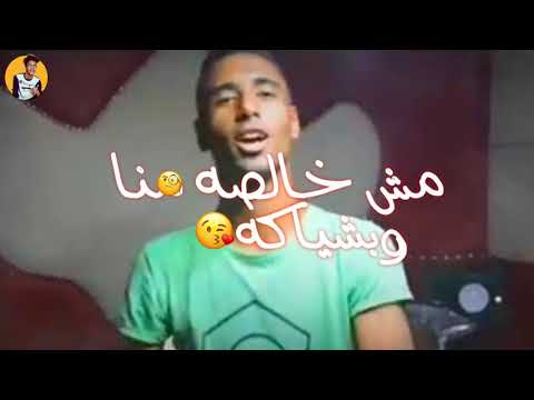 مهرجان انا قلبي ابن الفتاكه بارد ممل3 غناء شواحه عمرمهرجانات 2019