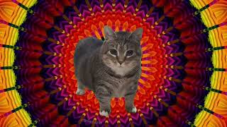 W&W - Oiia Oiia (Spinning Cat) (Astrowalker888 Remix)