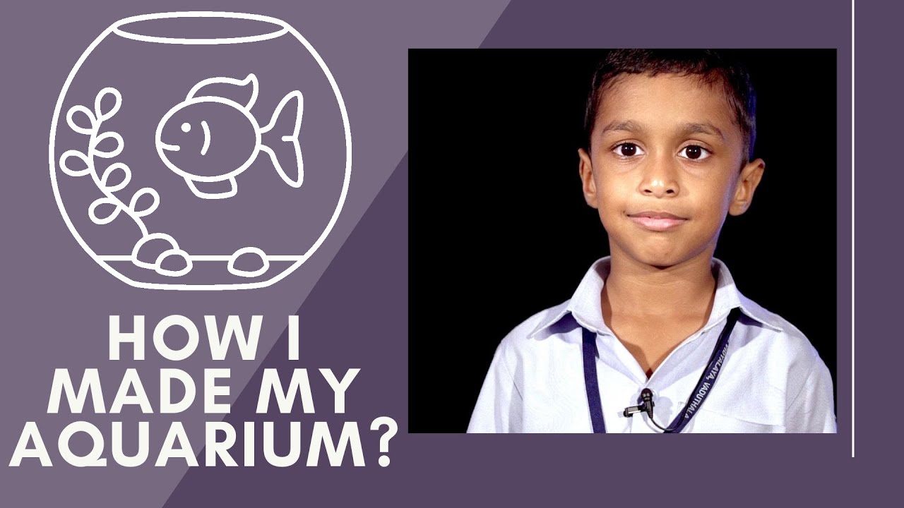 How I Made My Aquarium? | My Fish Tank Speech by Arnav Arun Pillai ...