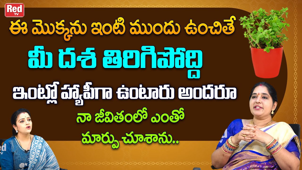 ఈ మొక్కను ఇంటి ముందు ఉంచితే మీ దశ తిరిగిపోద్ది నా జీవితంలో ఎంతో మార్పు చూశాను..| Sravanthi | RedTV