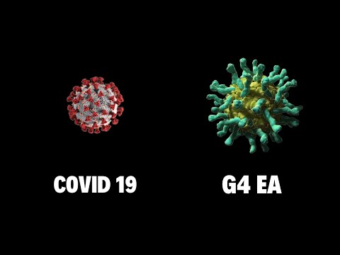 Video: Es Wurde Ein Neues Virus Entdeckt, Das Eine Epidemie Verursachen Kann - Alternative Ansicht
