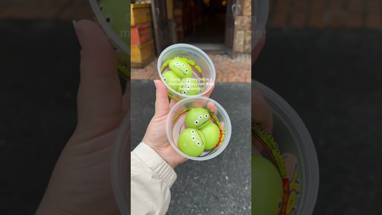 DisneySea in the rain 