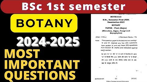 BSc 1st Semester Botany Most Important Questions 2024-2025 | BSc first year Botany Questions